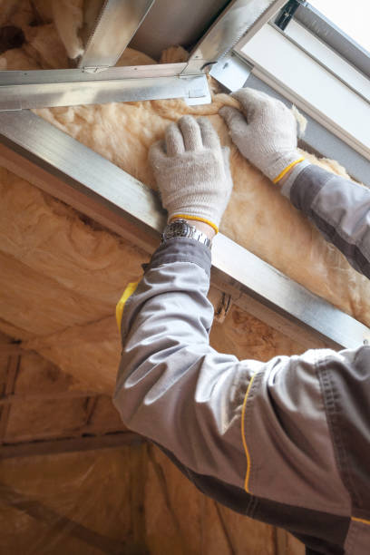 Best Residential Insulation in Weston, FL